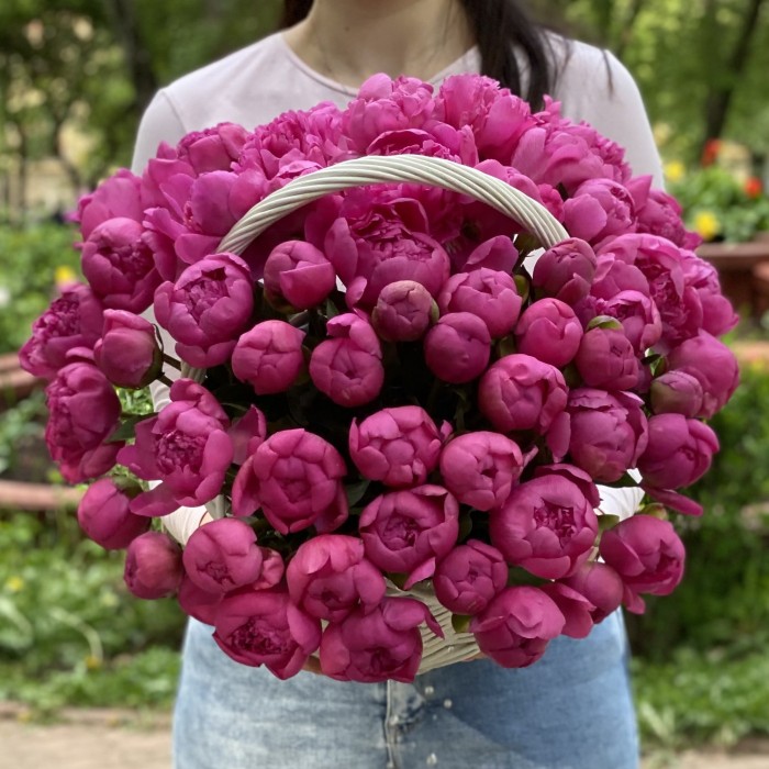 51 малиновый пион Флеминг в корзине